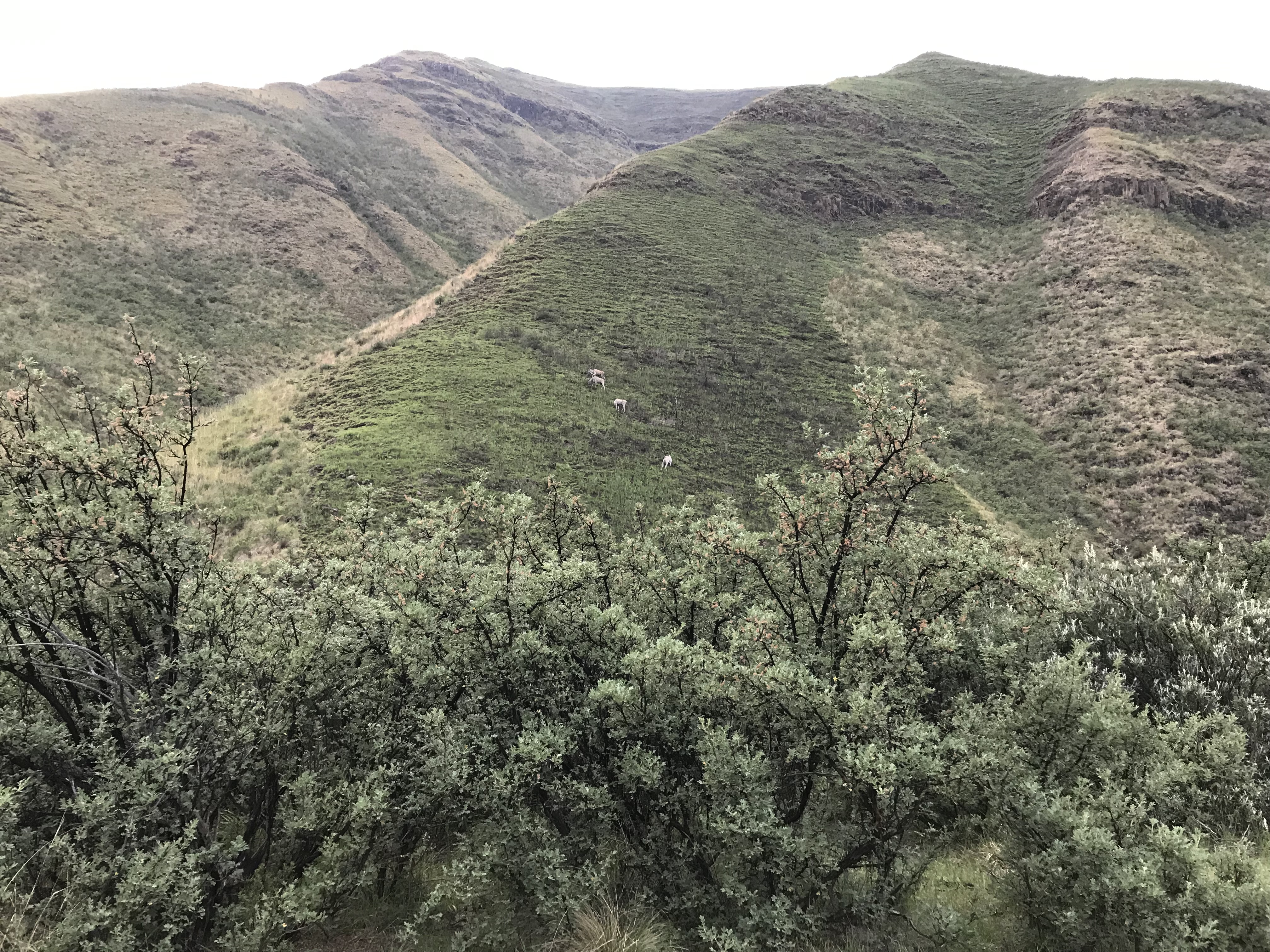 2km Into Lesotho Ultra