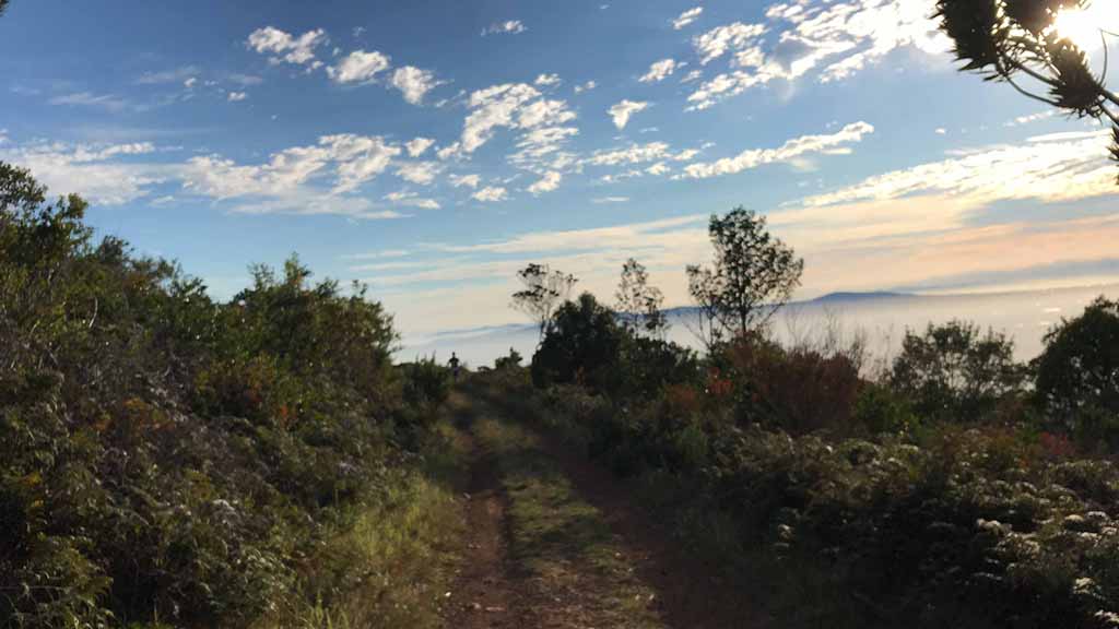 Jeep Track - Upper Trail