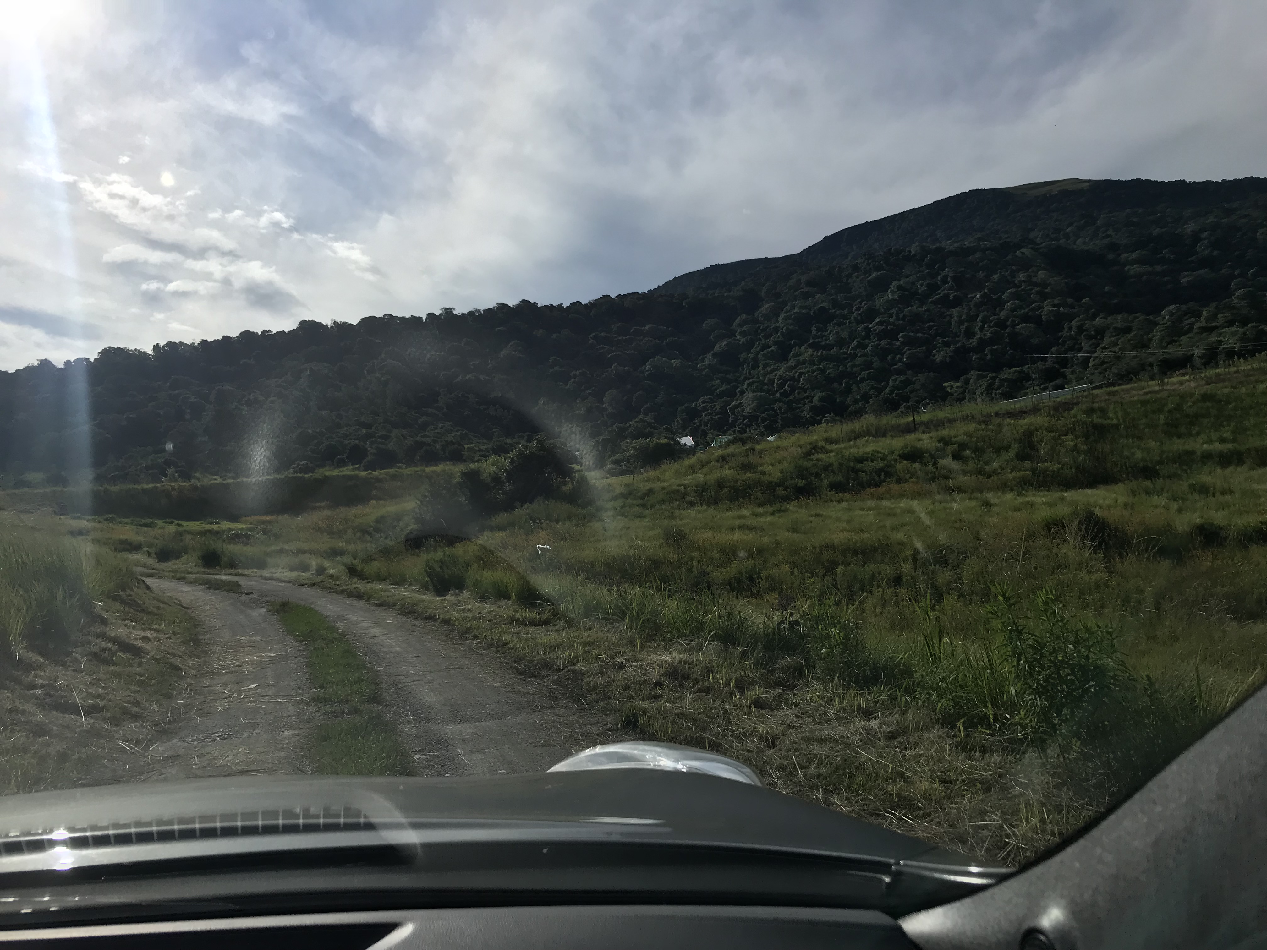 Arriving In Karkloof